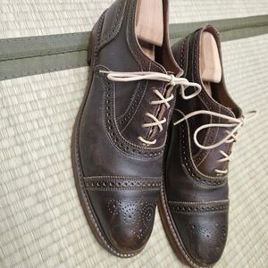 Allen Edmonds Dark Brown Wingtip Oxfords with Cream Laces